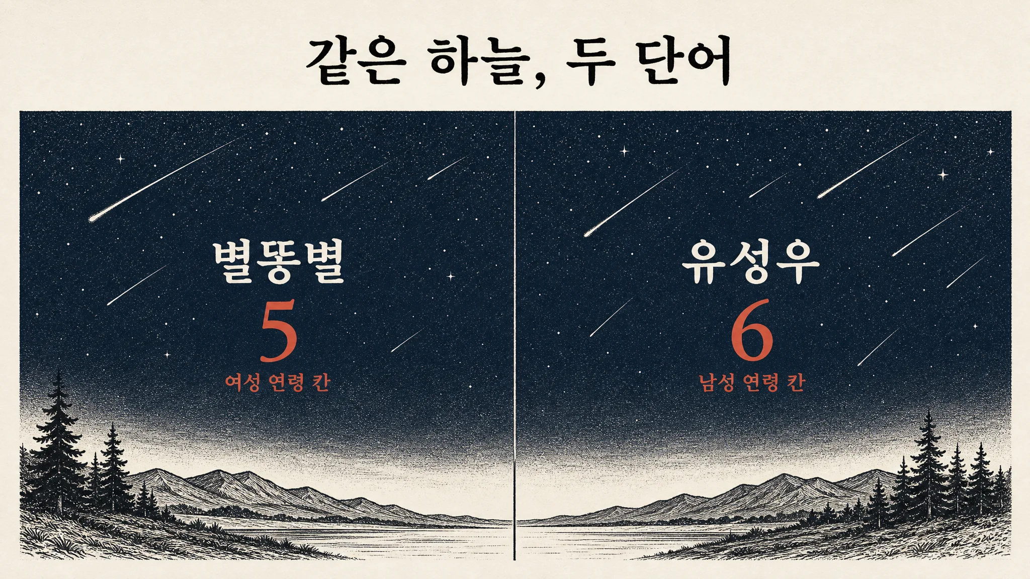 「별똥별」이 든 검색어는 남성 연령 칸에 하나도 없었습니다 — 같은 밤하늘을 두 단어가 갈랐습니다 — 대표 이미지