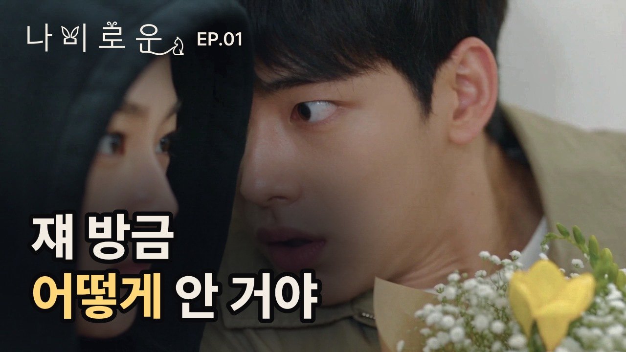 나비로운 1화 영상