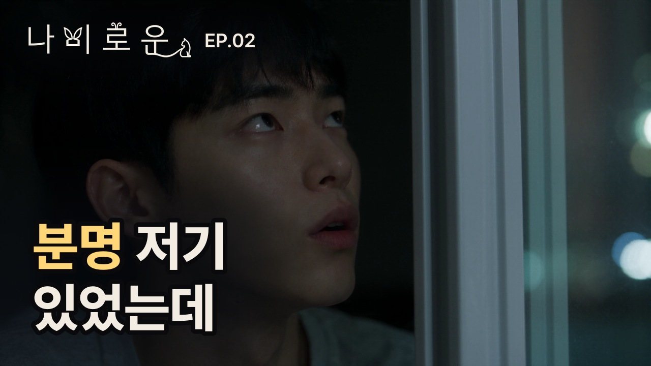 나비로운 2화 영상